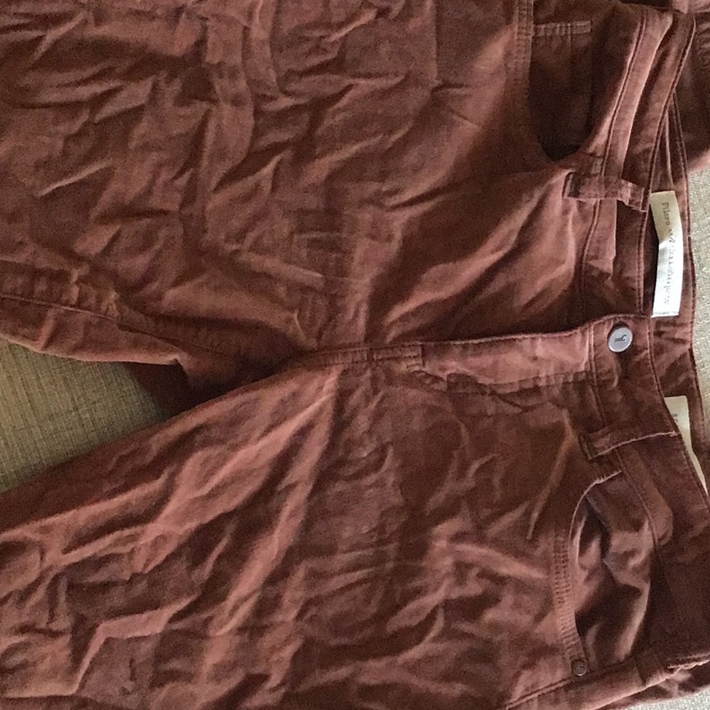 Pilcro Script pant - Picture 2 of 3